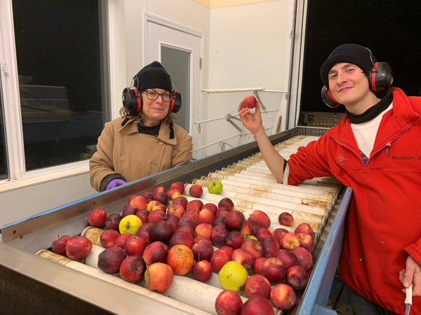 Life on the farm, the last apple of 2018