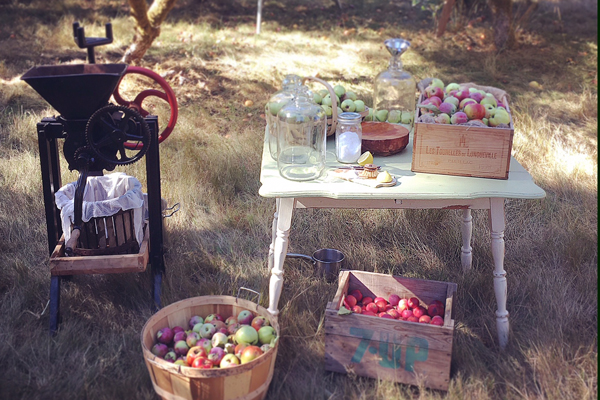 The small apple press which is available for rent from Laughing Apple Farm