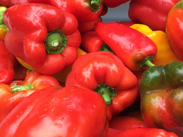 Peppers from the laughing apple farm
