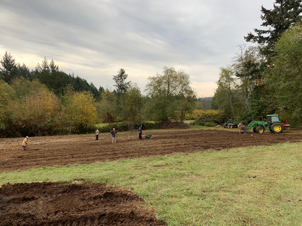 Life on the farm, planting garlic