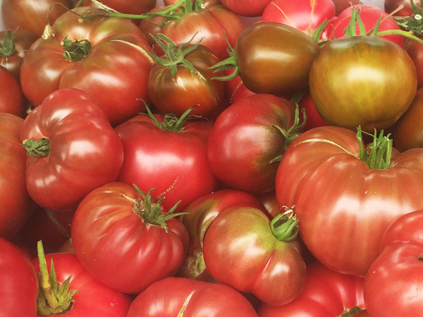 fresh produce is beautiful at laughing apple farm